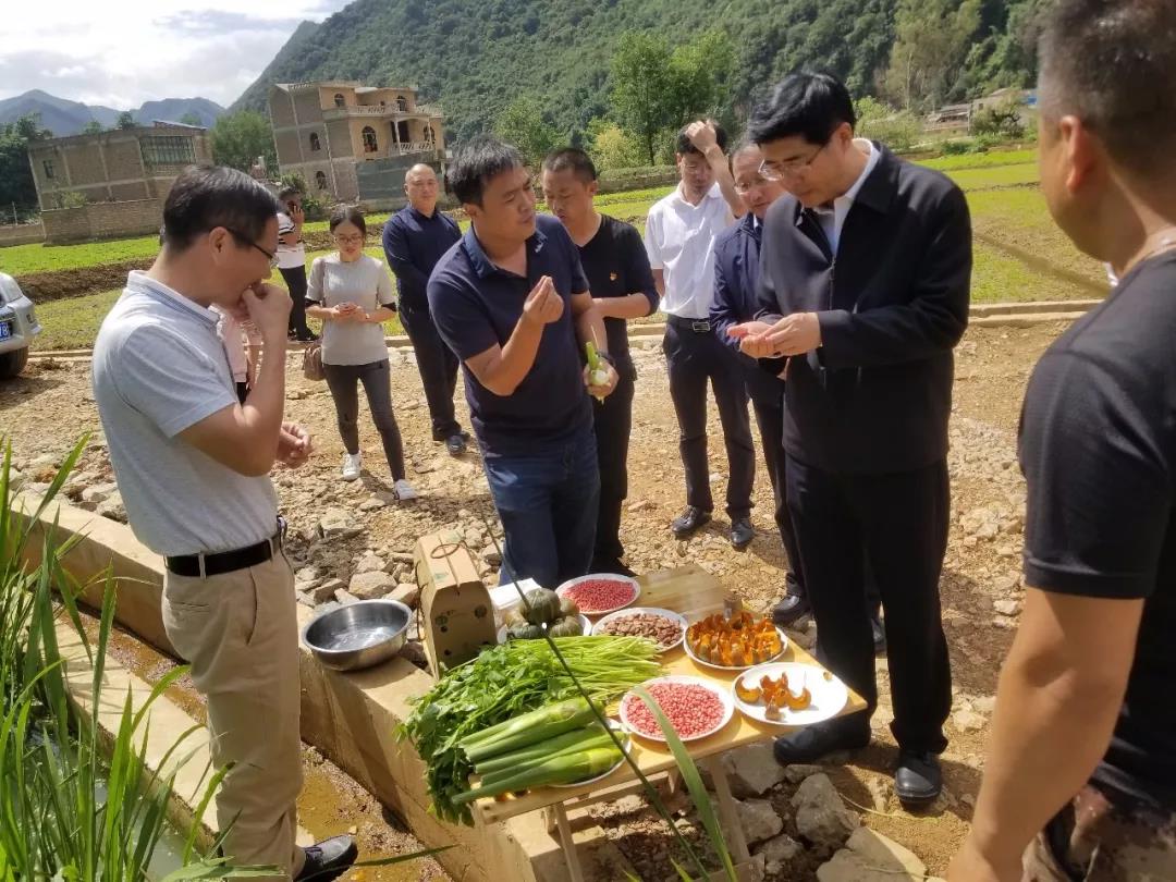 GA黄金甲(中国)体育有限公司
